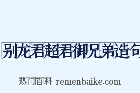 别龙君超君御兄弟造句是什么意思的图片